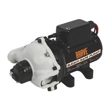 Brave Softwash Bleach Pump | 4.0 GPM