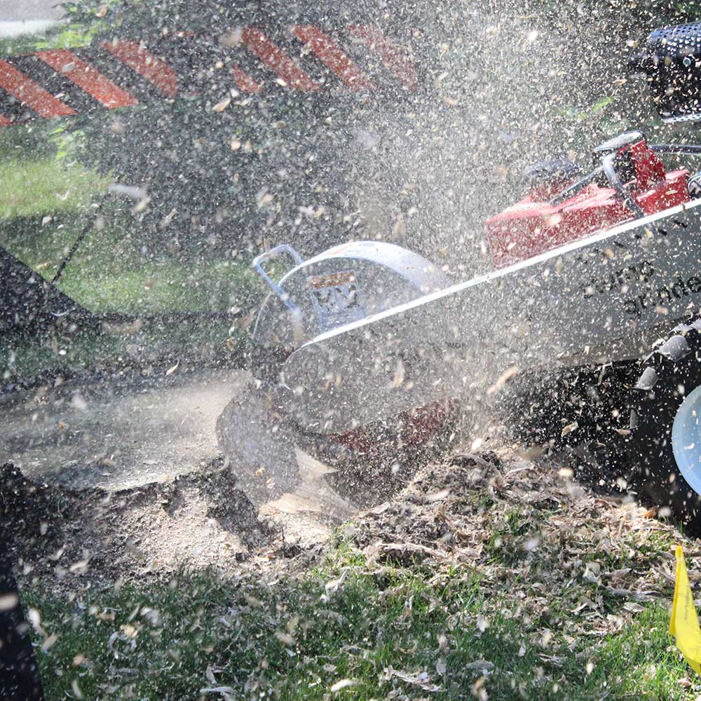 Dosko Stump Grinder | 20 HP Self-Propelled | Honda GX630