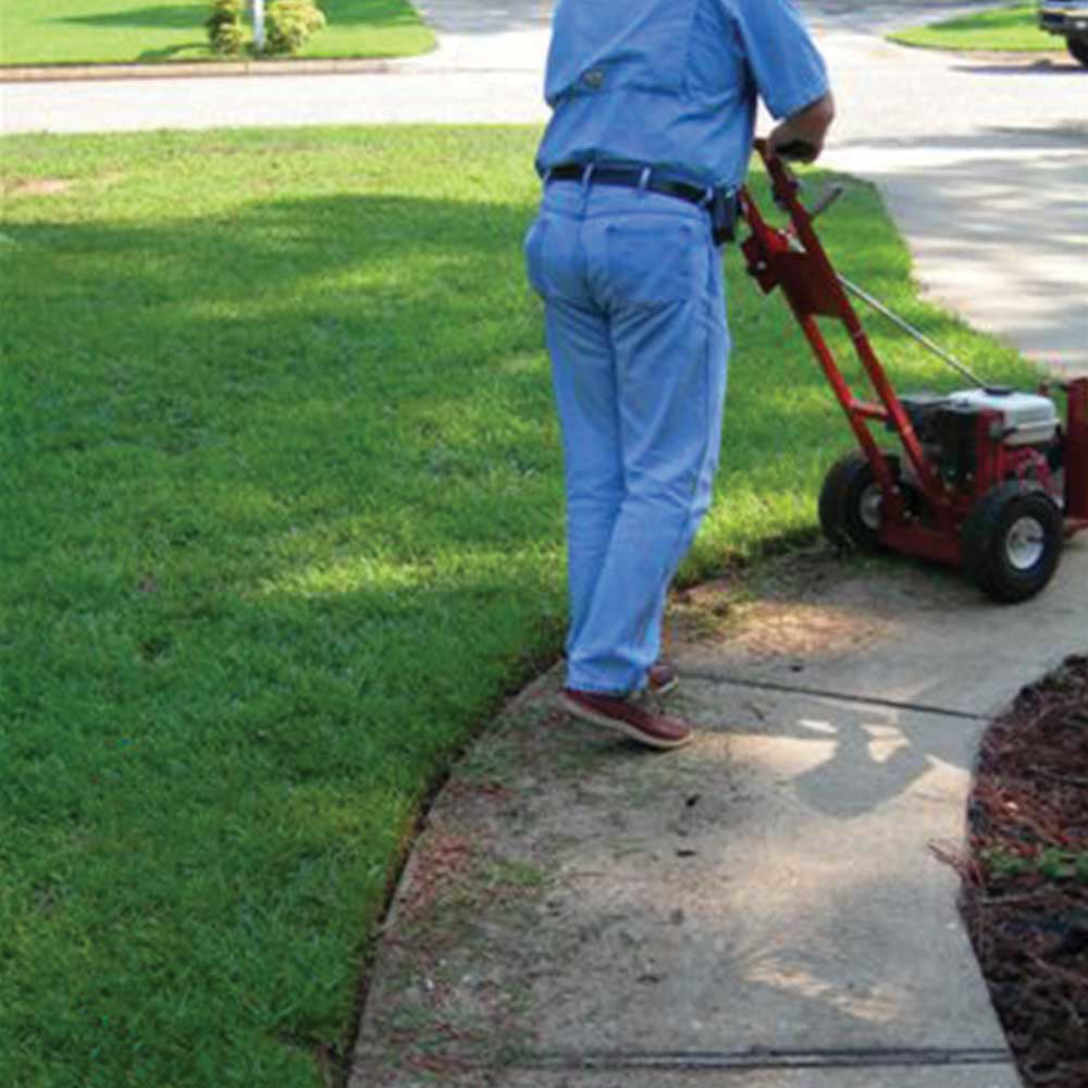 Brown Edger | Honda GX160 | Star Blade 10-In. Wheel