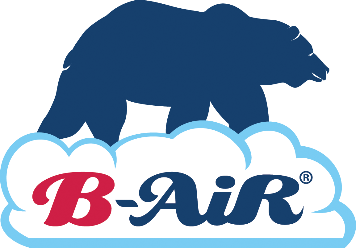 B-Air | Carbon Filter For RA-650 | Pack of 3