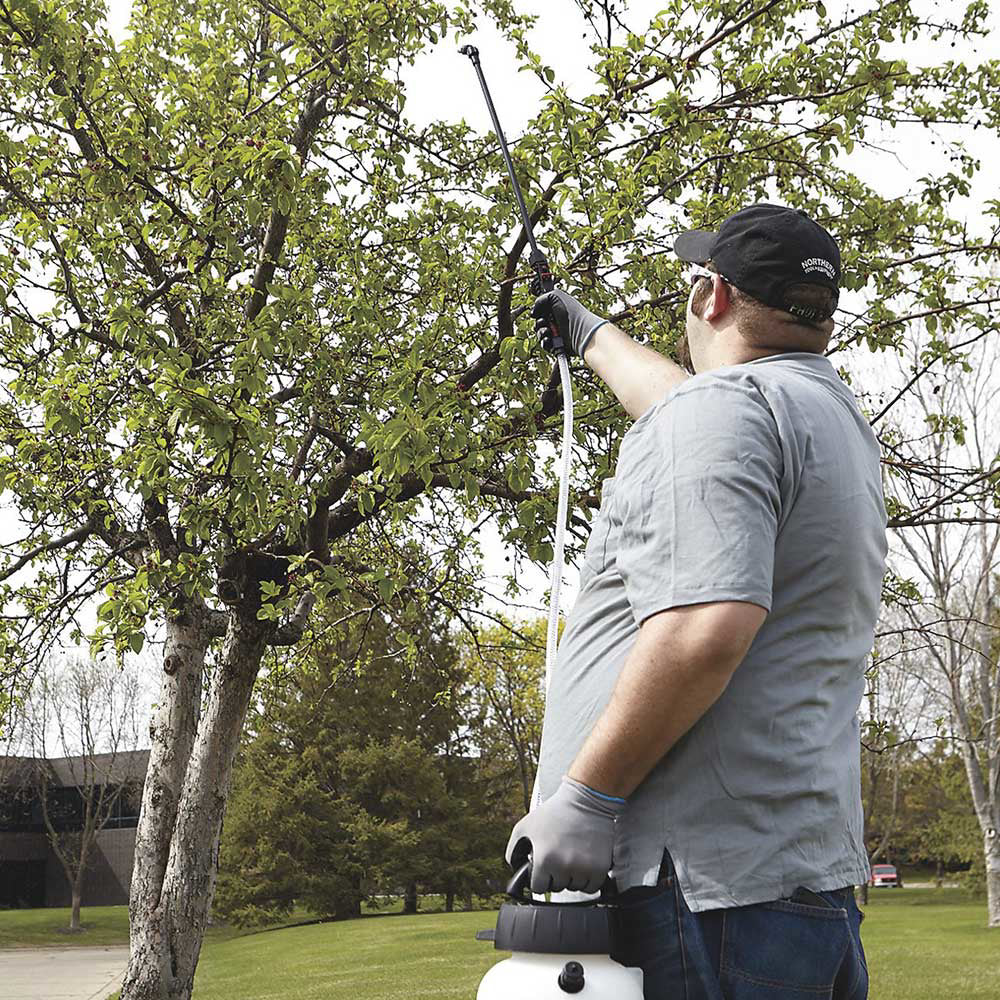 Strongway Poly Portable Sprayer | 2-Gal | 45Psi