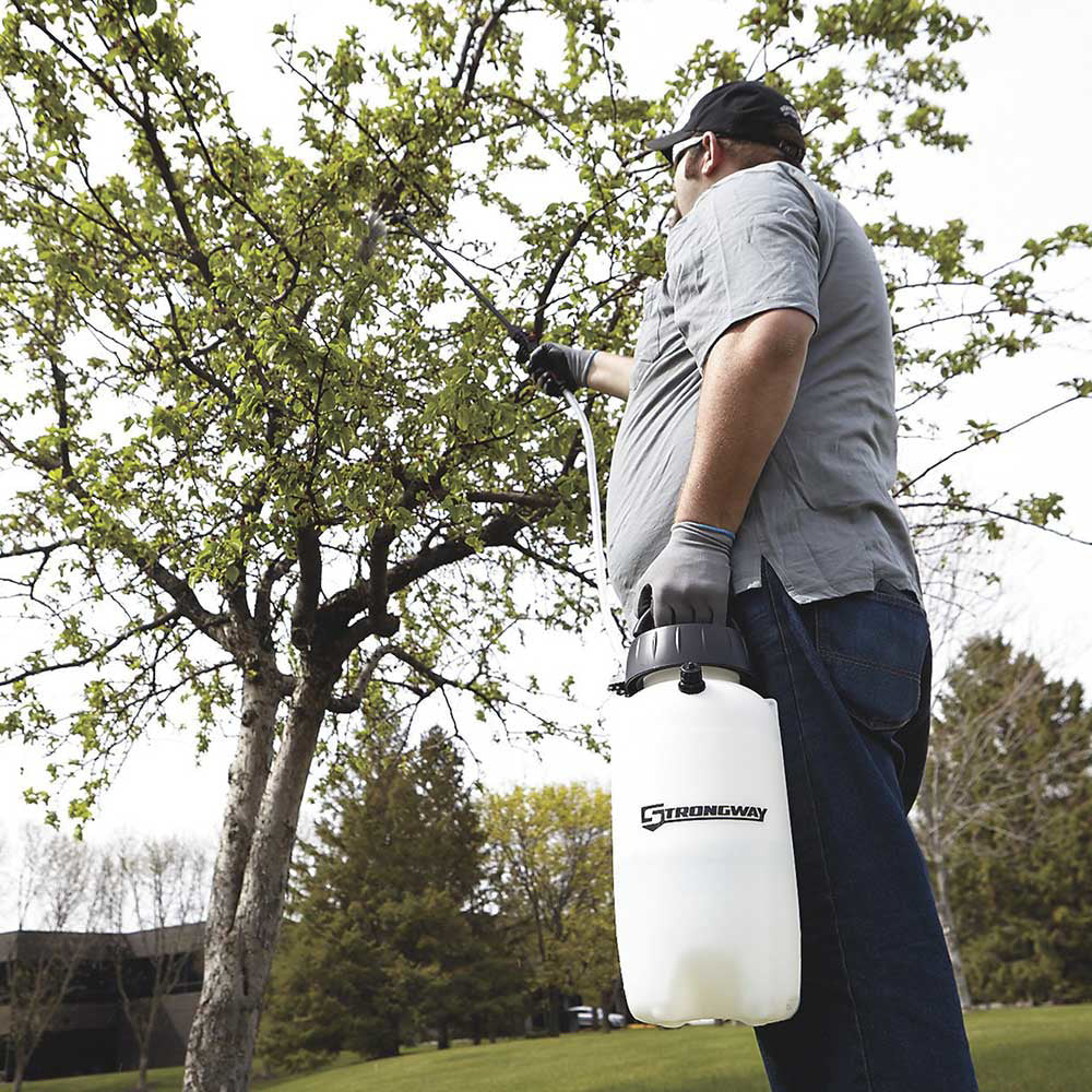 Strongway Poly Portable Sprayer | 2-Gal | 45Psi