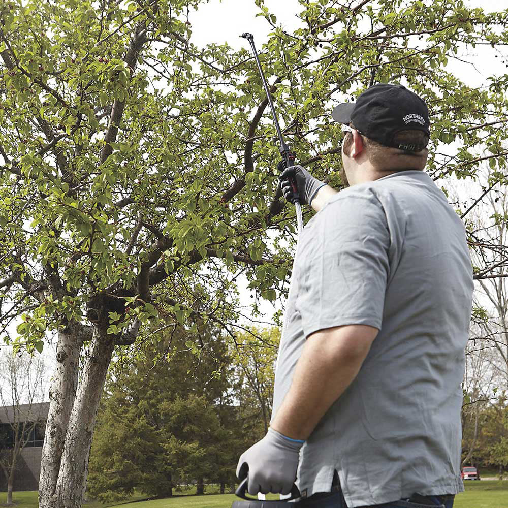 Strongway Poly Portable Sprayer | 2-Gal | 45Psi