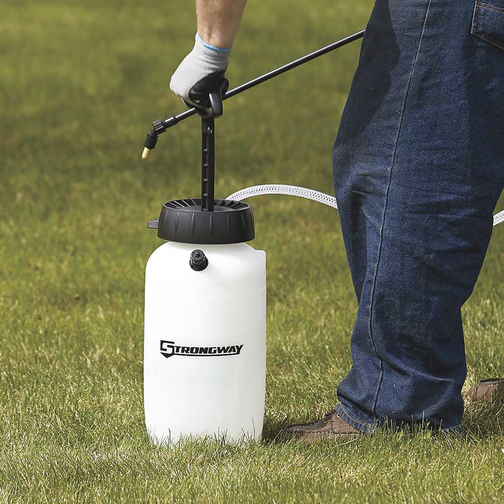 Strongway Poly Portable Sprayer | 2-Gal | 45Psi