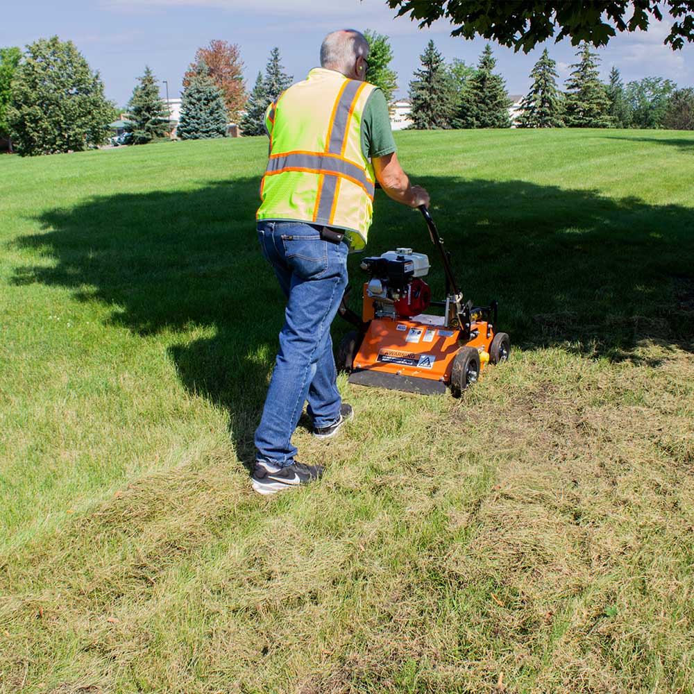 Brave Power Rake Dethatcher | 20-In. Width | GX160