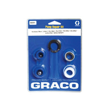 Graco Pump Repair Kit | 255204