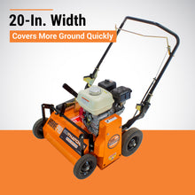 Brave Power Rake Dethatcher | 20-In. Width | GX160