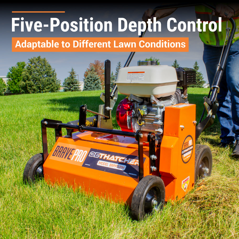 Brave Power Rake Dethatcher | 20-In. Width | GX160