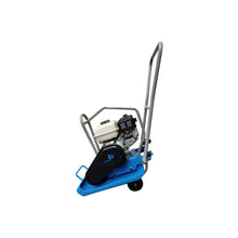 BT Forward Plate Compactor | 17-in. | GX160