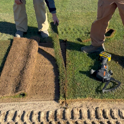 Arbortech | AllSaw Turf Blade | 2-pack